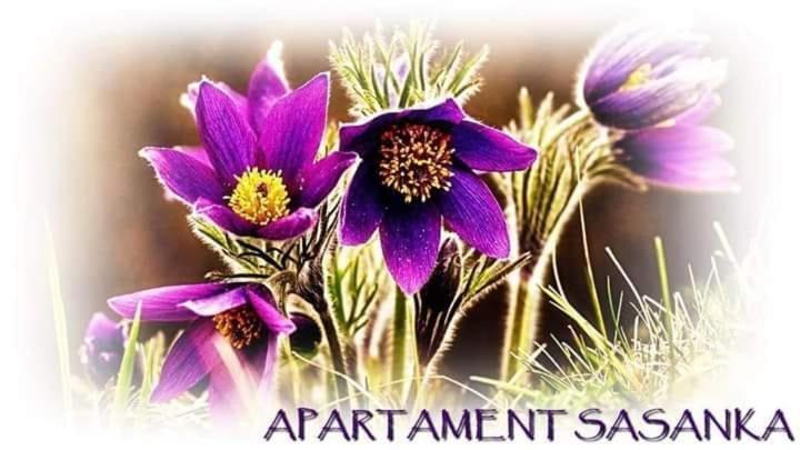 Apartament Sasanka Kowary Exterior foto